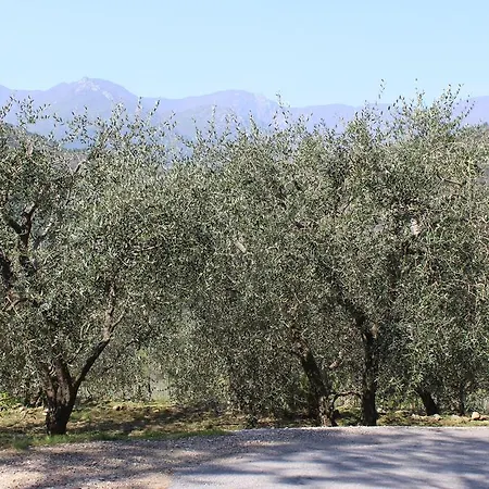 Room & Bike Shuttle Tour Finale Ligure